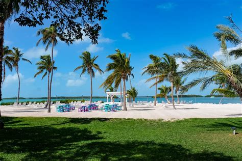 Morada bay - Morada Bay, Islamorada: See 2,913 unbiased reviews of Morada Bay, rated 4.5 of 5 on Tripadvisor and ranked #23 of 80 restaurants in Islamorada.